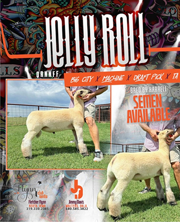 Jelly Roll